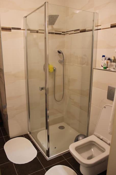 Prague Vysehradska Apartment Eksteriør billede